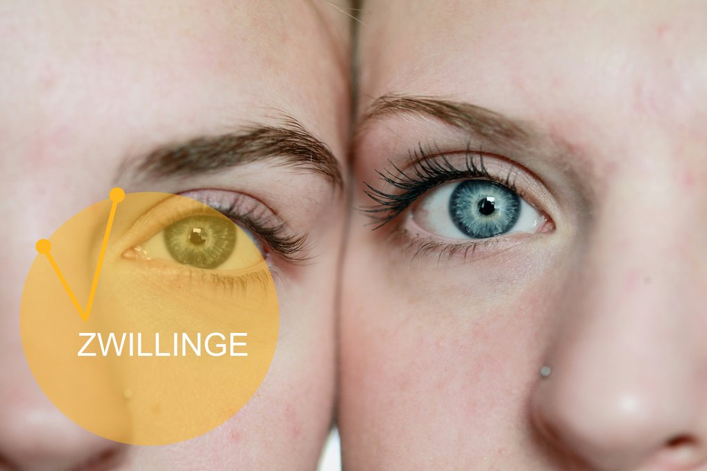 Foto: Alexander Grey für unsplash.