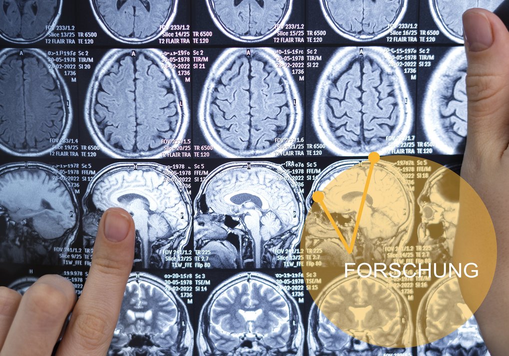 Foto: Design Freepik www.freepik.com.